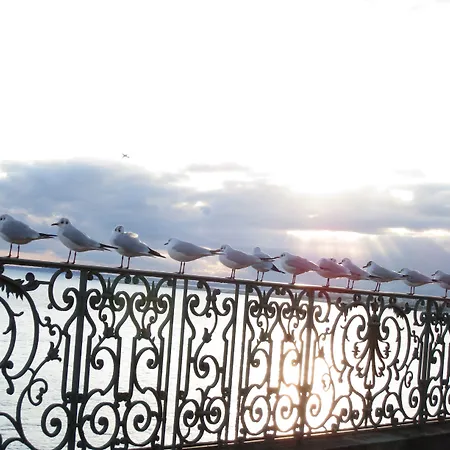 Le Royal Promenade Des מלון 3*