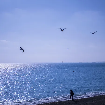 Le Royal Promenade Des 3*
